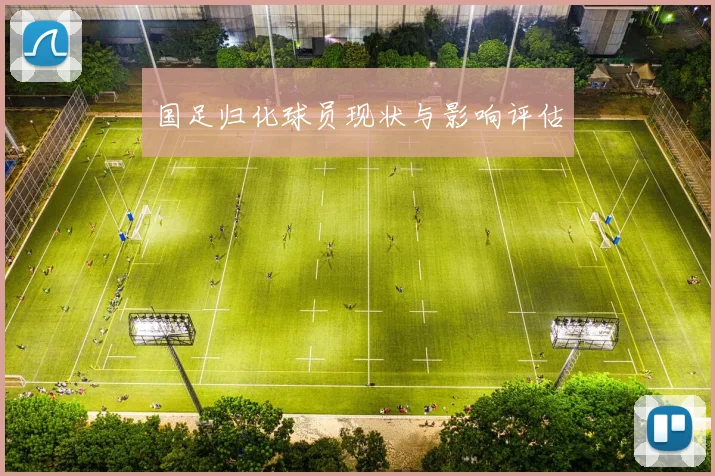 国足归化球员现状与影响评估
